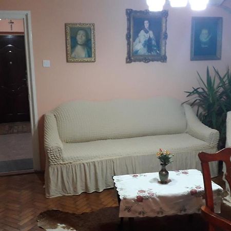 Cozy, Central 1-Bedroom Apartment In Timisoara, Romania Экстерьер фото