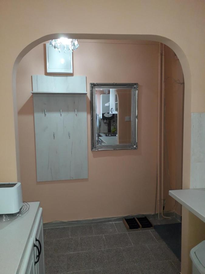 Cozy, Central 1-Bedroom Apartment In Timisoara, Romania Экстерьер фото