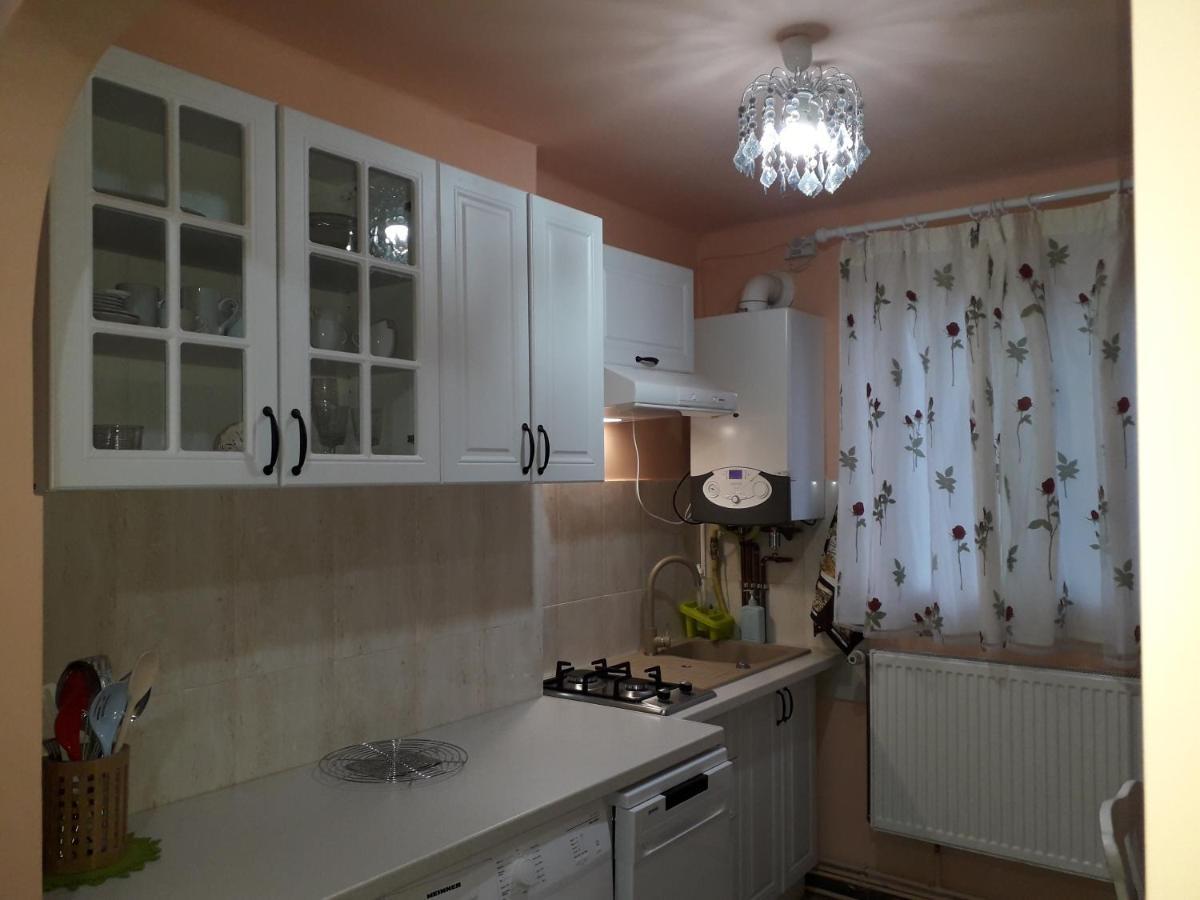 Cozy, Central 1-Bedroom Apartment In Timisoara, Romania Экстерьер фото