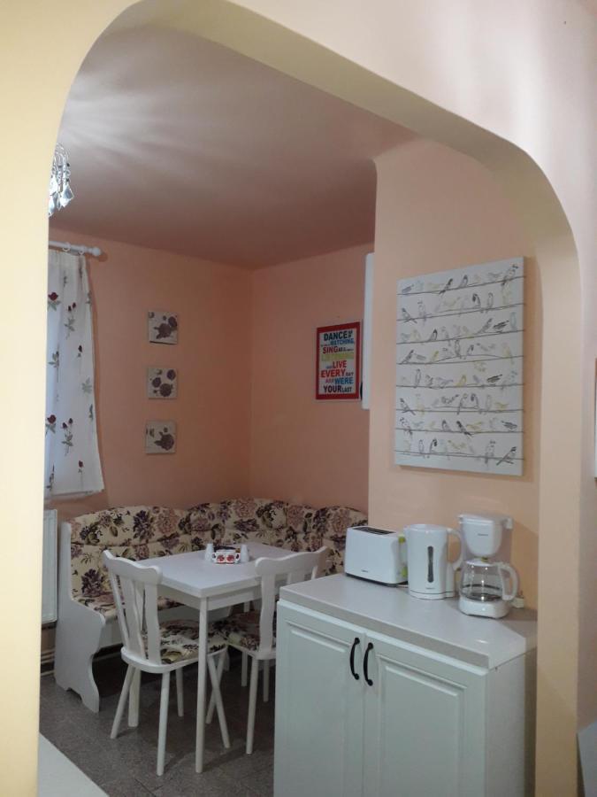 Cozy, Central 1-Bedroom Apartment In Timisoara, Romania Экстерьер фото