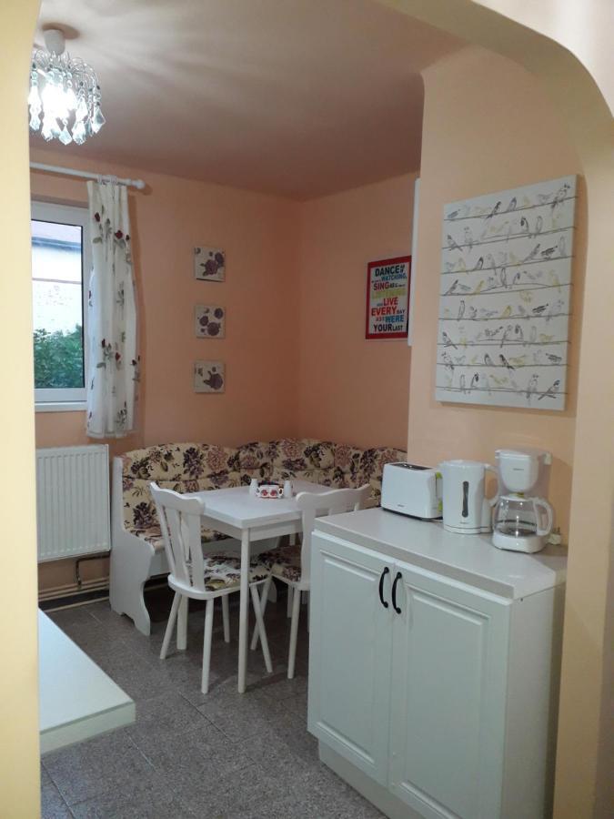 Cozy, Central 1-Bedroom Apartment In Timisoara, Romania Экстерьер фото