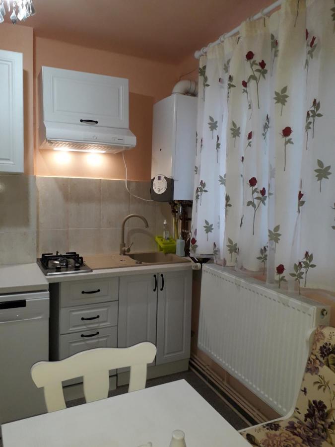 Cozy, Central 1-Bedroom Apartment In Timisoara, Romania Экстерьер фото